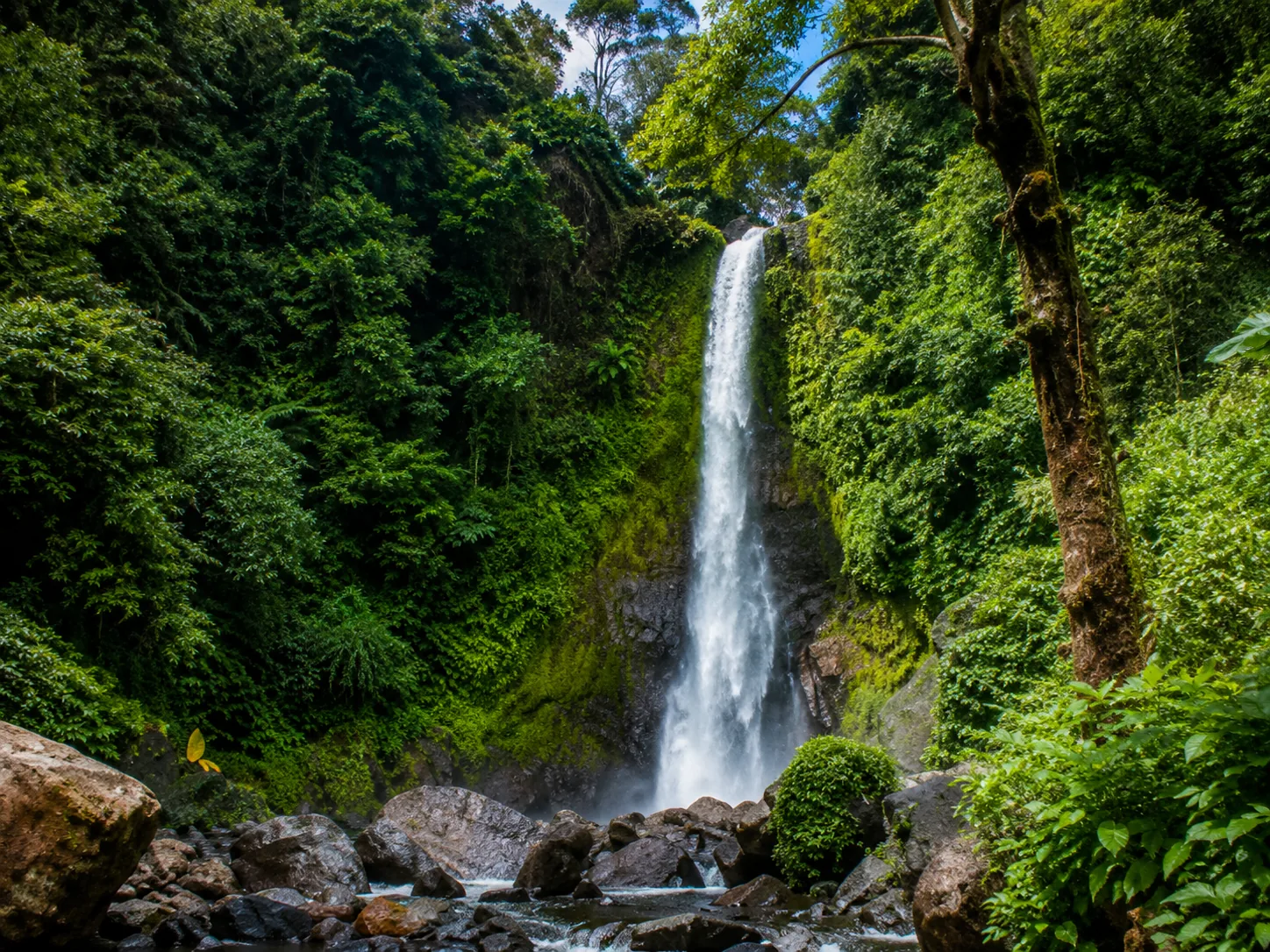Java Borneo und Bali Rundreise