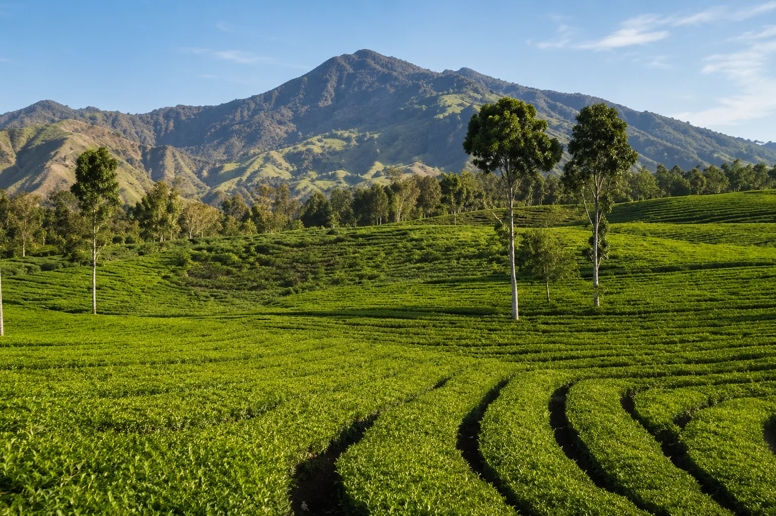 Java Borneo und Bali Rundreise