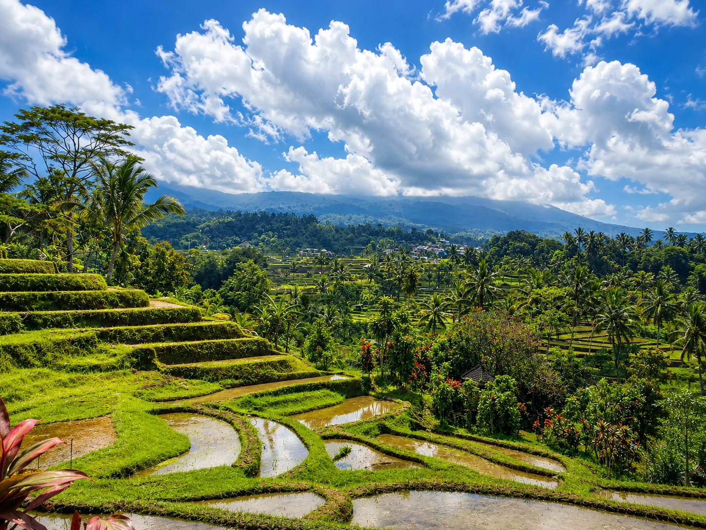 Jatiluwih Reisterrassen auf Bali