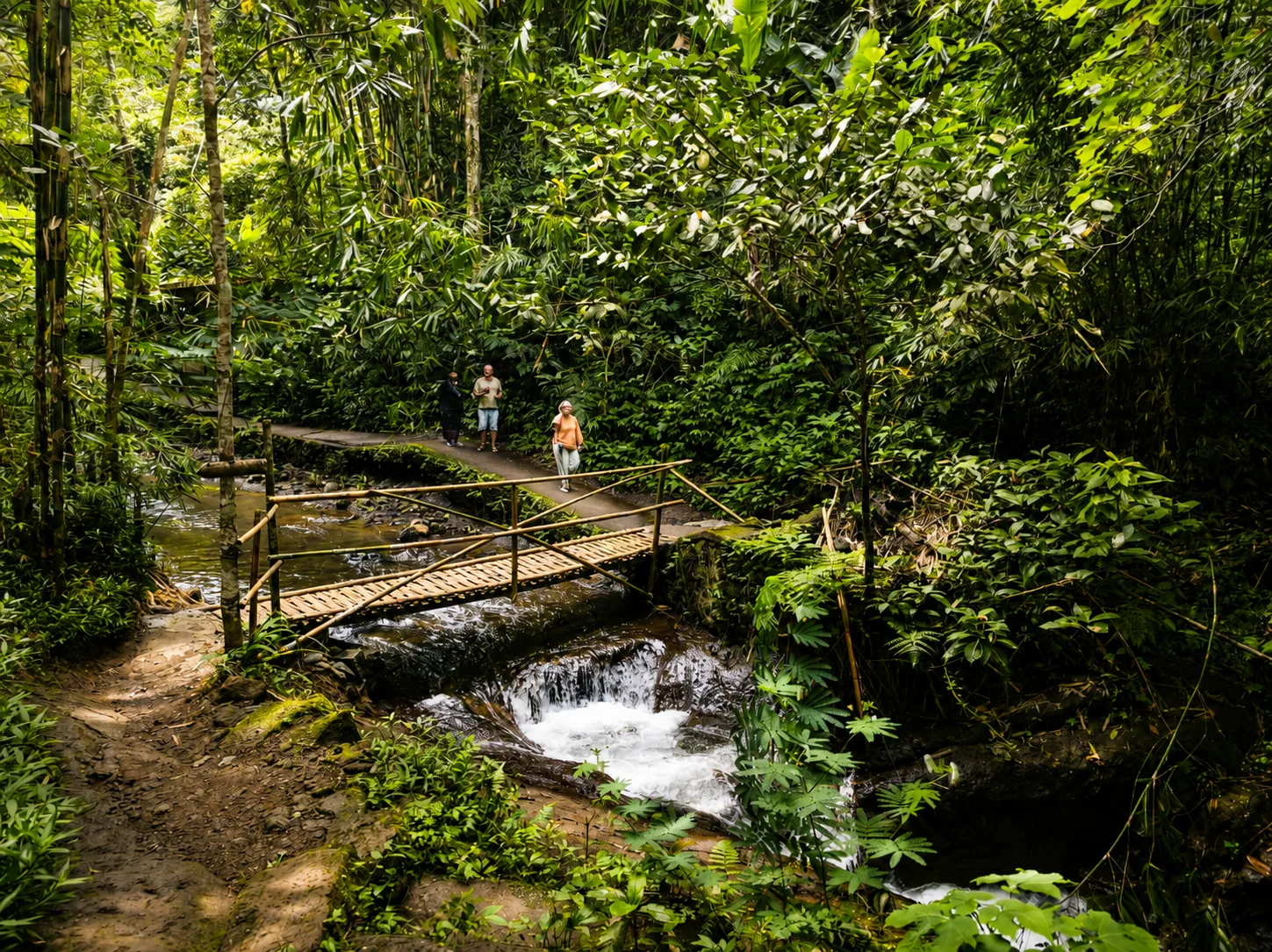 North Bali nature trip with waterfall