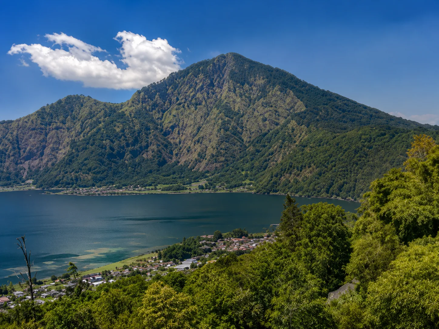 Circuito de naturaleza por el norte de Bali con cascada