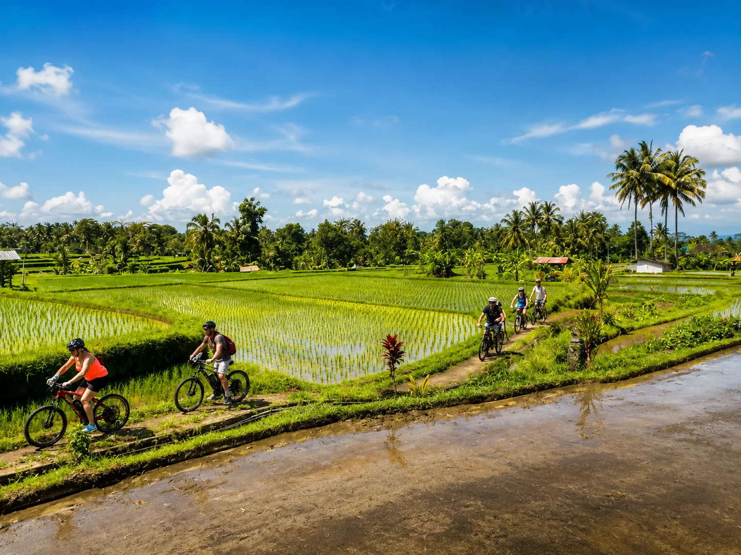 Tour en e-bike por las terrazas de arroz de Tegallalang