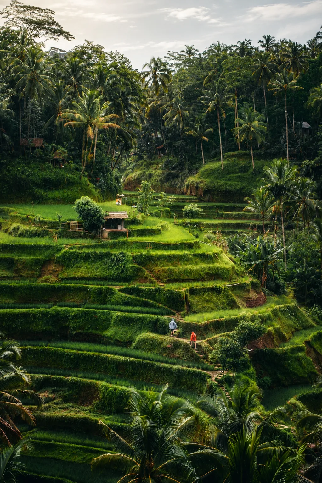 Randonnée dans les rizières à Bali